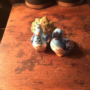 🐞Peacock s&p shaker